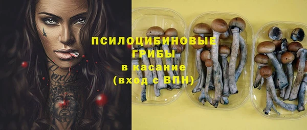 гашиш Богородицк
