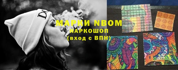 мдпв Тайга