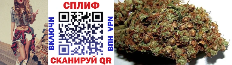 MEGA маркетплейс  Клин  Бошки марихуана ГИДРОПОН  цена  